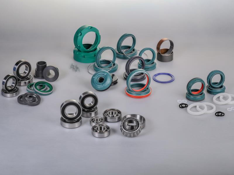 gamma SKF