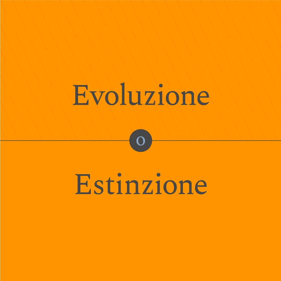 ciaodino_£